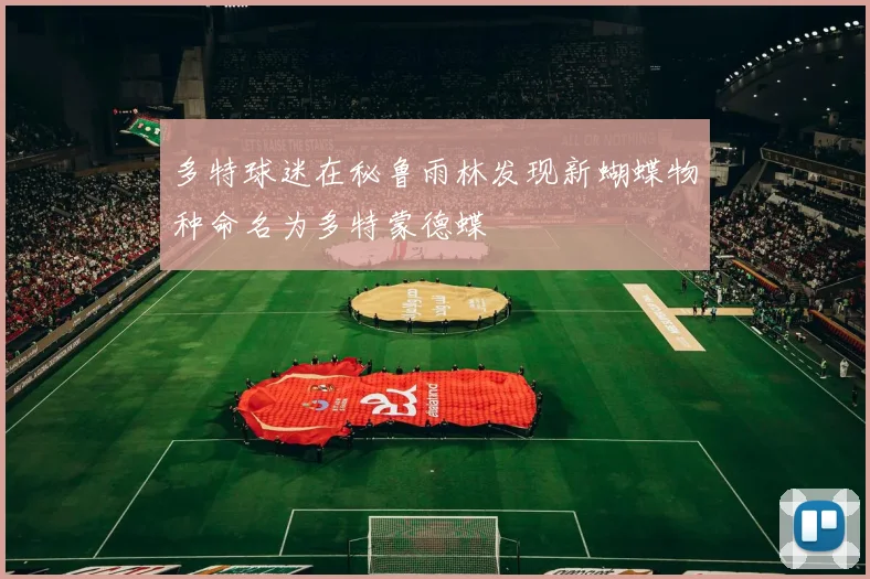 多特球迷在秘鲁雨林发现新蝴蝶物种命名为多特蒙德蝶