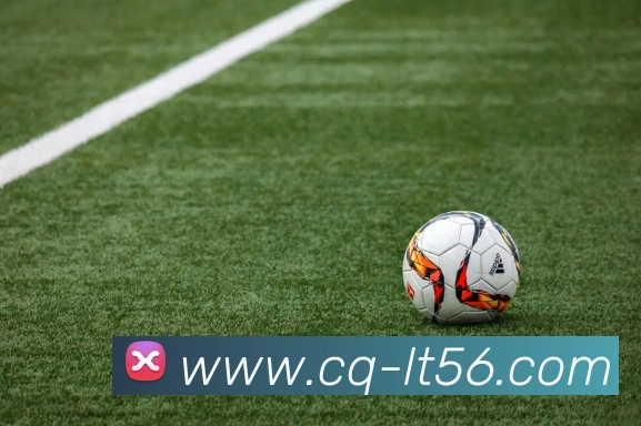 星空app官网服务体系